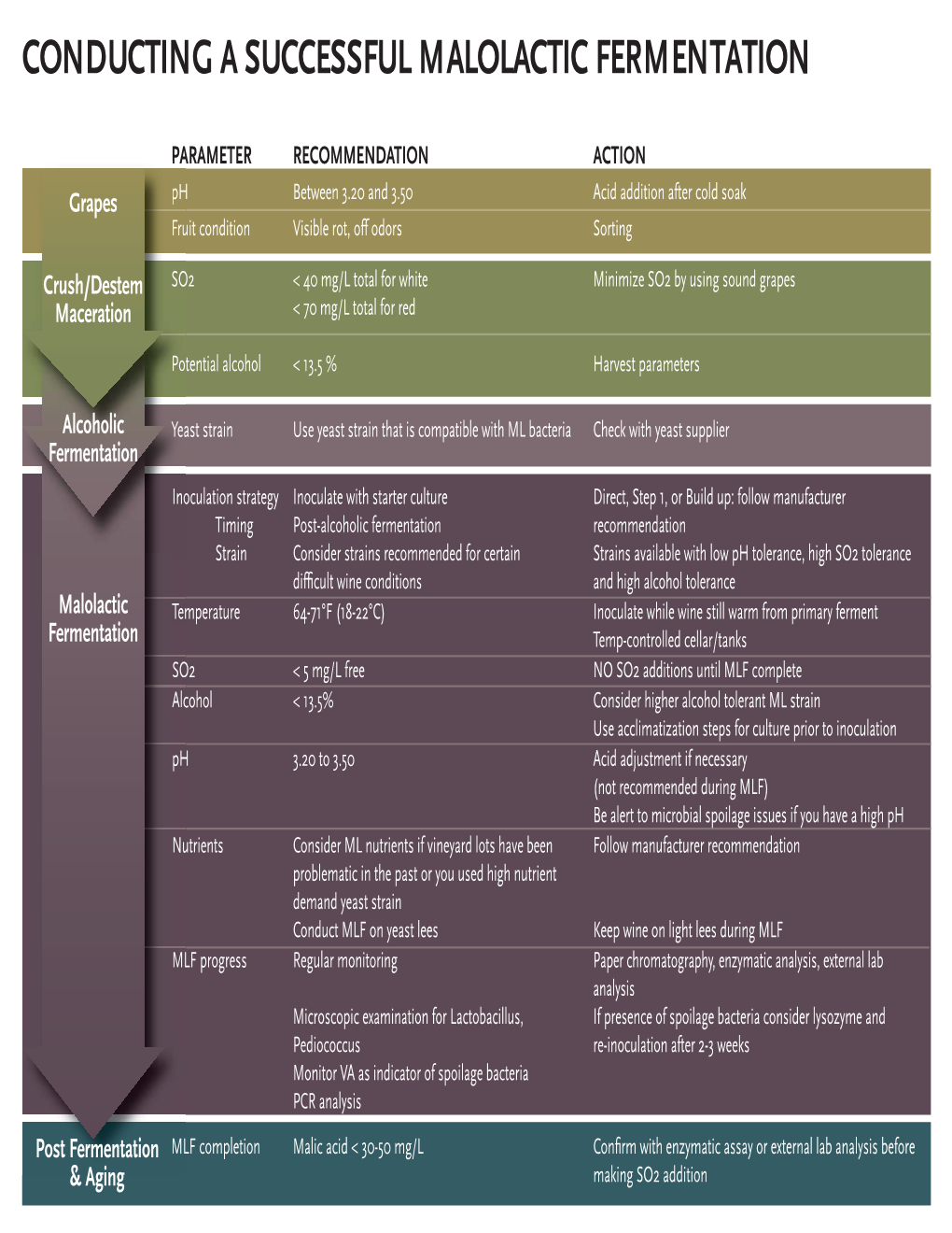 Conducting a Successful Malolactic Fermentation