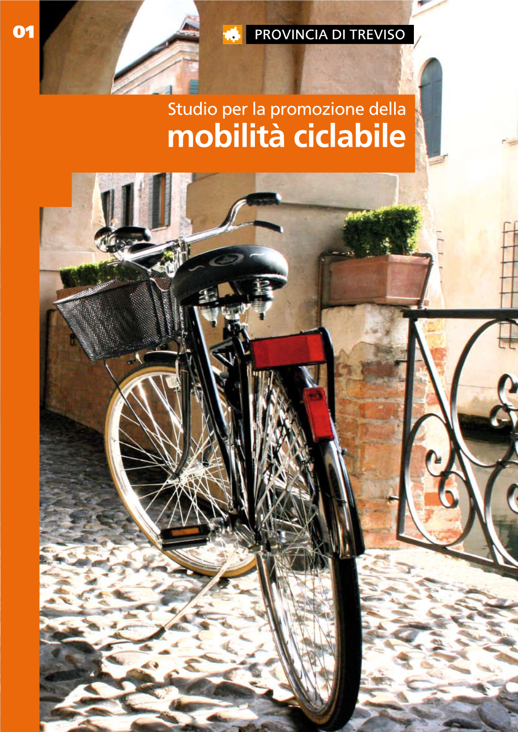 Mobilità Ciclabile Studio Per La Promozione Della Mobilità Ciclabile