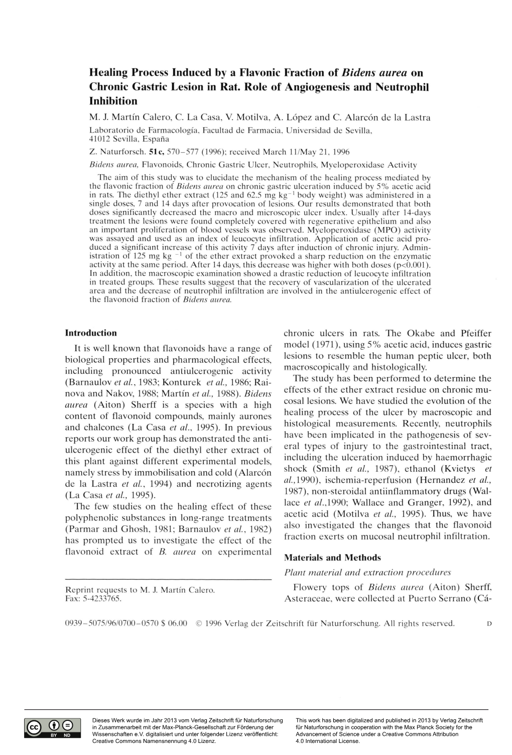 Healing Process Induced by a Flavonic Fraction of Bidens Aurea on Chronic Gastric Lesion in Rat