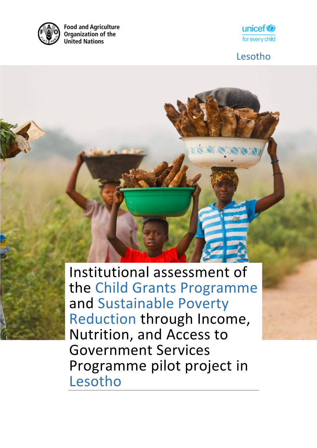 Institutional Assessment of the Child Grants Programme and Sustainable