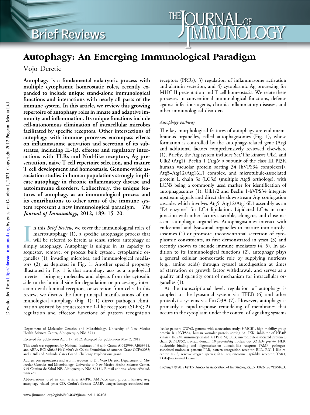 Paradigm Autophagy: an Emerging Immunological