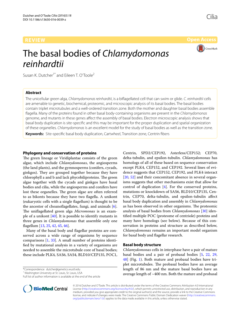 The Basal Bodies of Chlamydomonas Reinhardtii Susan K