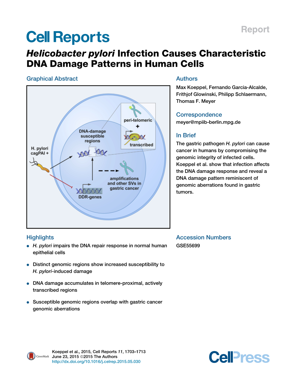 Helicobacter Pylori Infection Causes Characteristic DNA Damage Patterns in Human Cells