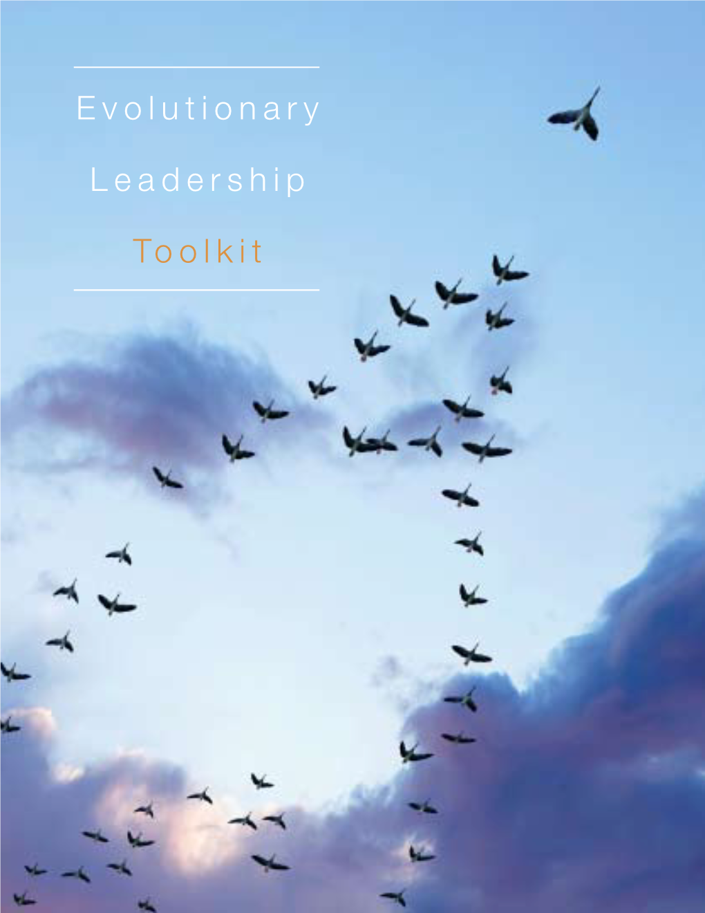 Evolutionary Leadership Toolkit