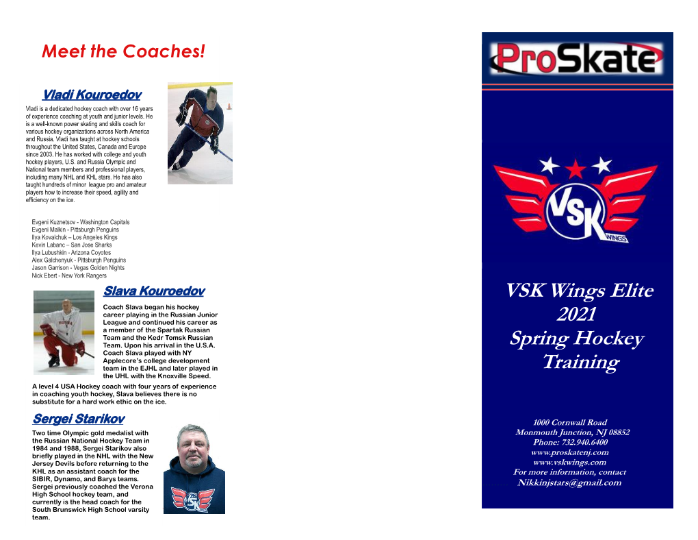 VSK Wings Elite 2021 Spring Hockey Training