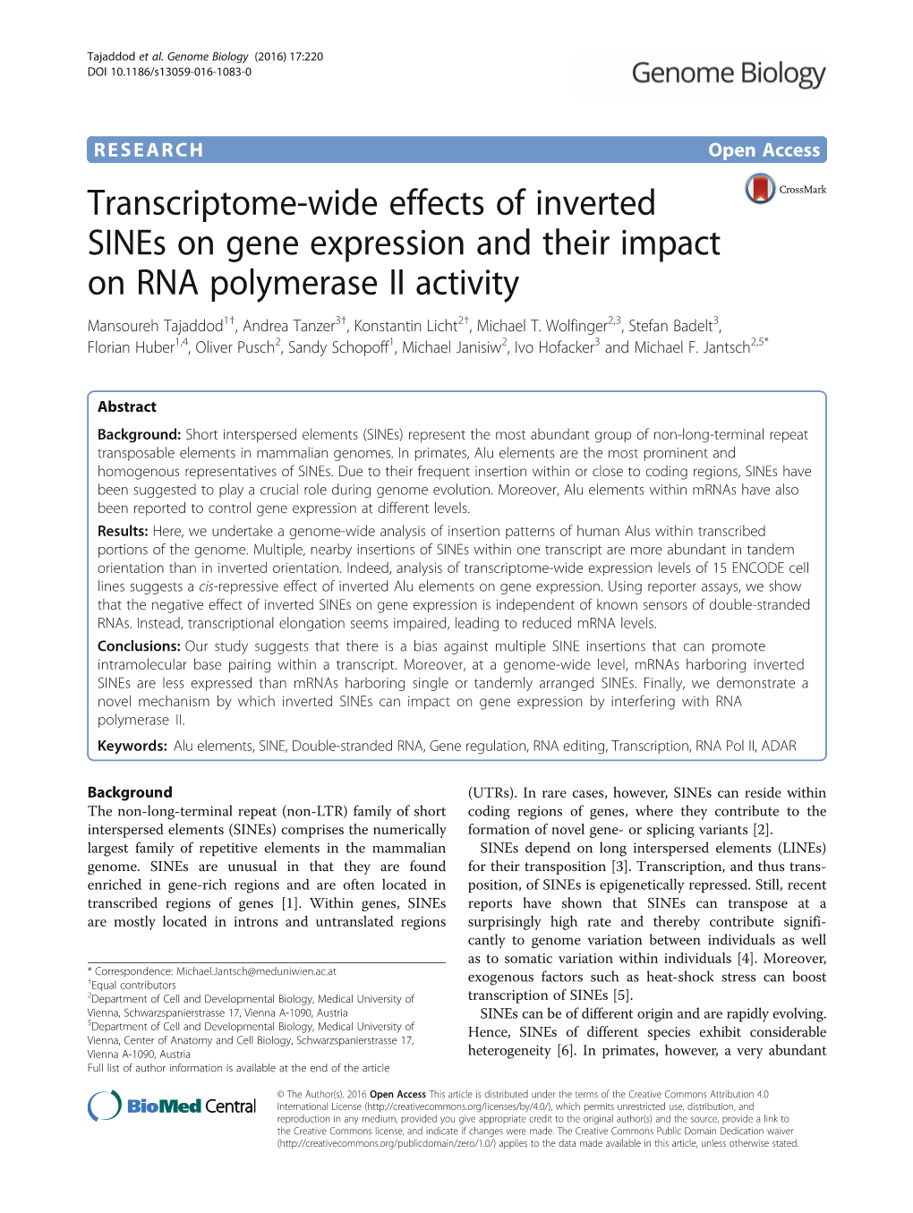 Transcriptome-Wide Effects of Inverted Sines on Gene Expression And