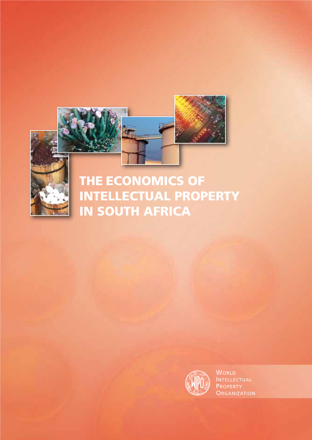 The Economics of Intellectual Property in South Africa