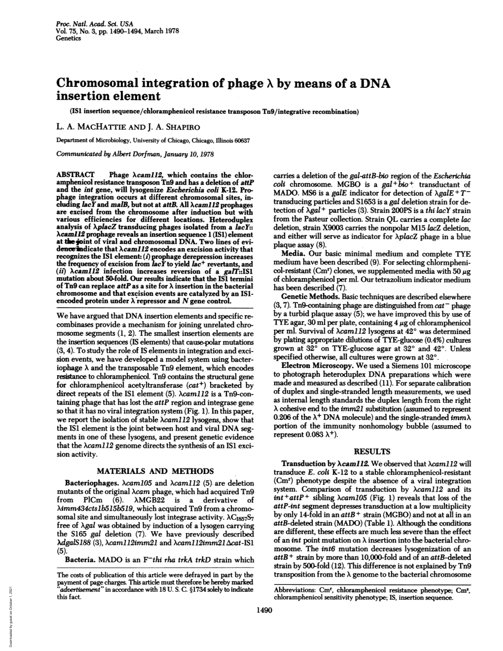 Insertion Element (IS1 Insertion Sequence/Chloramphenicol Resistance Transposon Tn9/Integrative Recombination) L