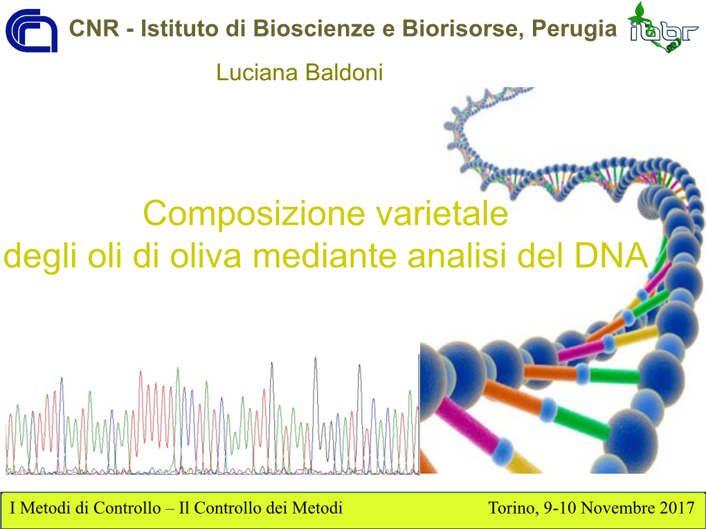 Diapositiva 1