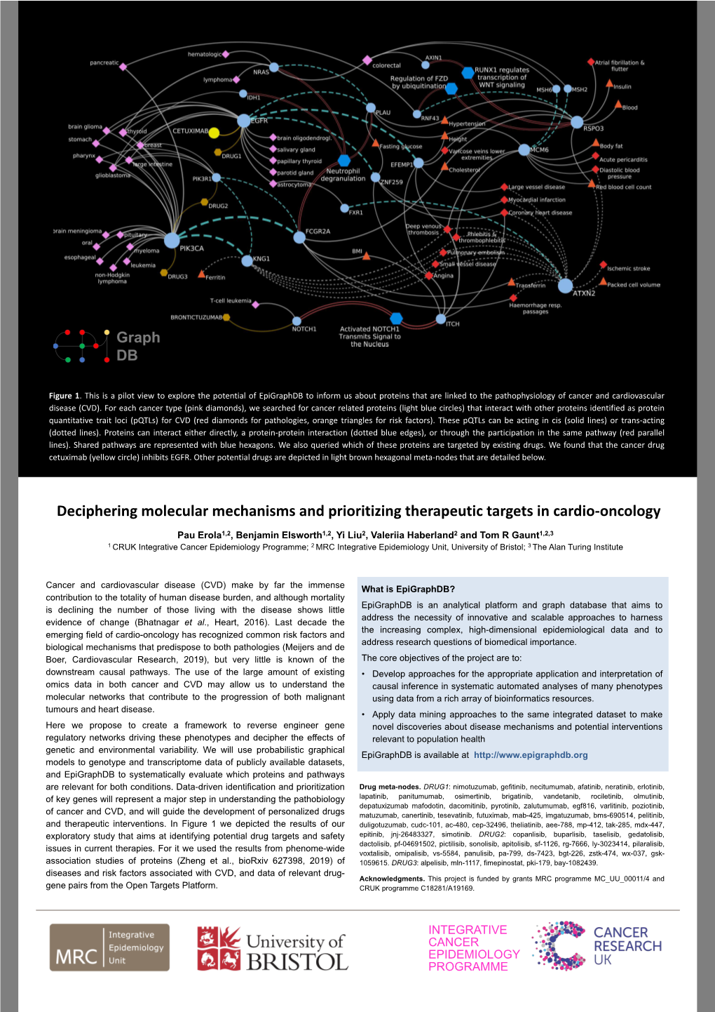 Deciphering Molecular Mechanisms and Prioritizing Therapeutic Targets in Cardio-Oncology