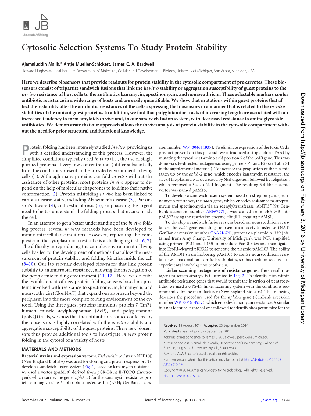 Cytosolic Selection Systems to Study Protein Stability