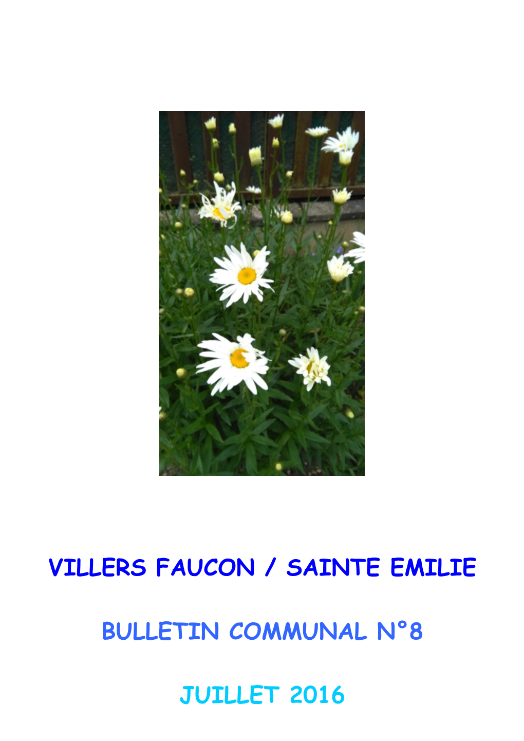 Villers Faucon / Sainte Emilie Bulletin Communal N°8