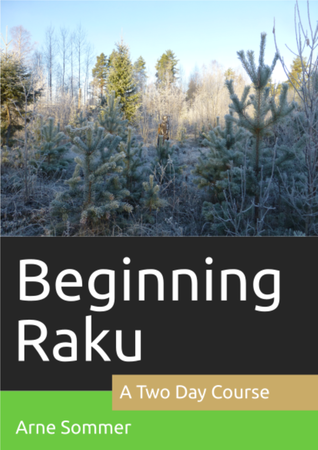 [PDF] Beginning Raku