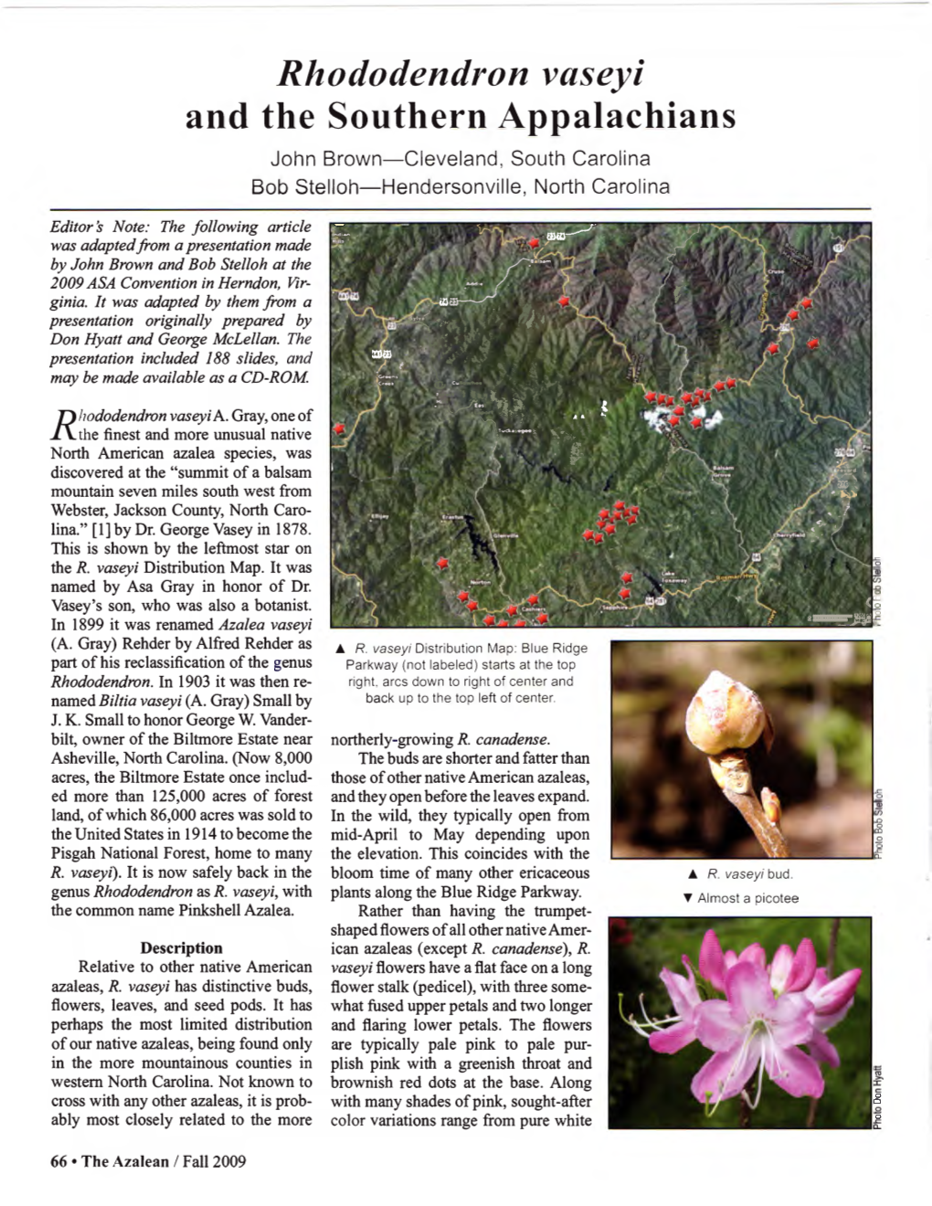 Rhododendron Vaseyi and the Southern Appalachians John Brown—Cleveland, South Carolina Bob Stelloh—Hendersonville, North Carolina