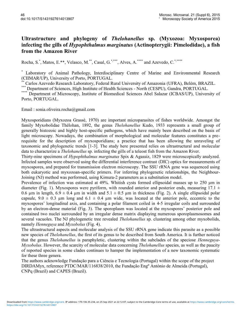 Myxozoa: Myxosporea) Infecting the Gills of Hypophthalmus Marginatus (Actinopterygii: Pimelodidae), a Fish from the Amazon River