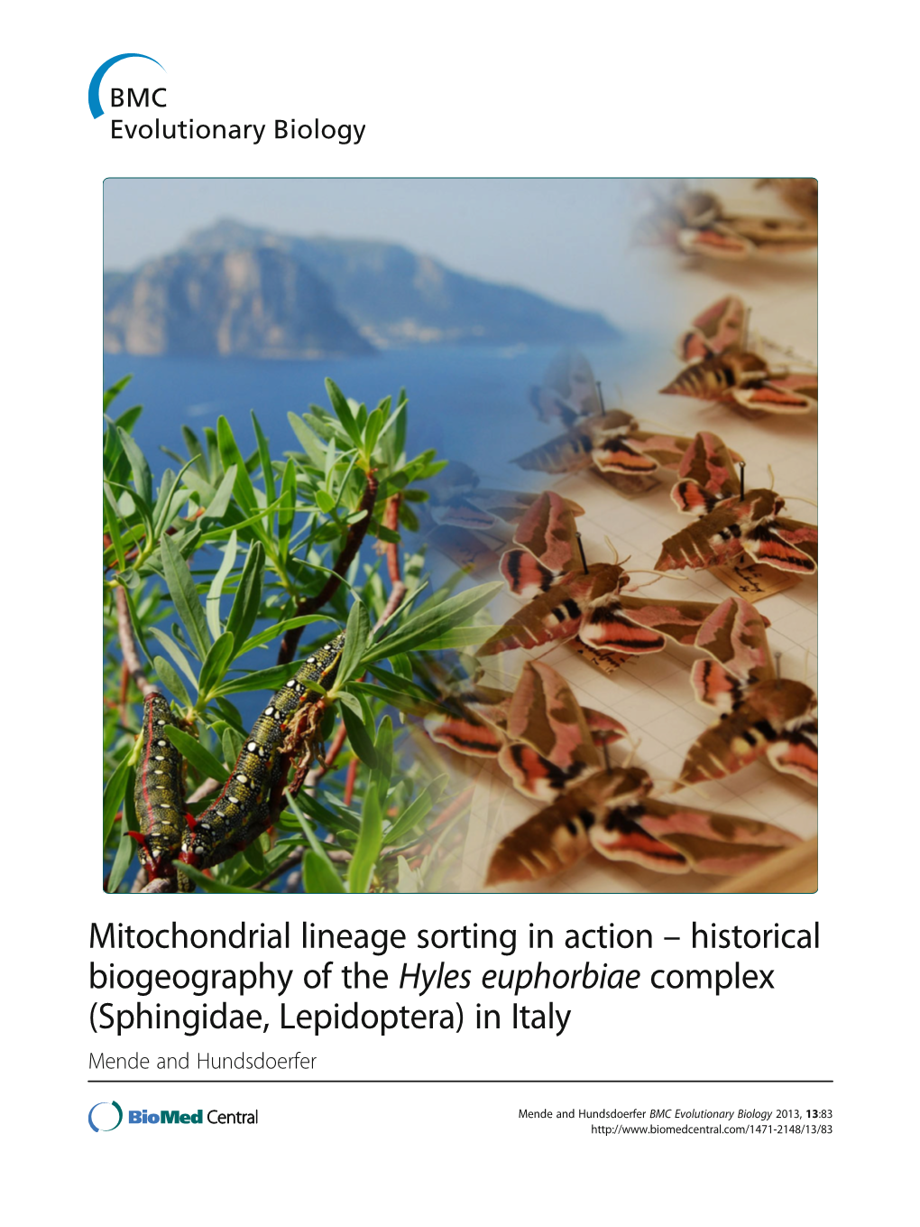 Mitochondrial Lineage Sorting in Action – Historical Biogeography of the Hyles Euphorbiae Complex (Sphingidae, Lepidoptera) in Italy Mende and Hundsdoerfer