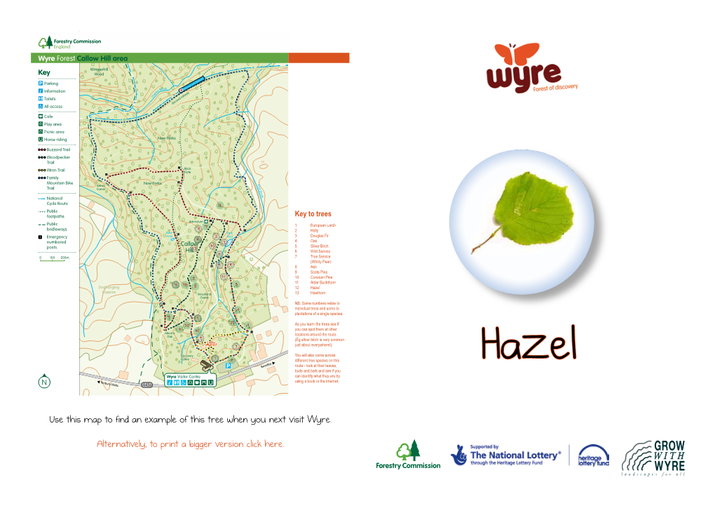 Use This Map to Find an Example of This Tree When You Next Visit Wyre