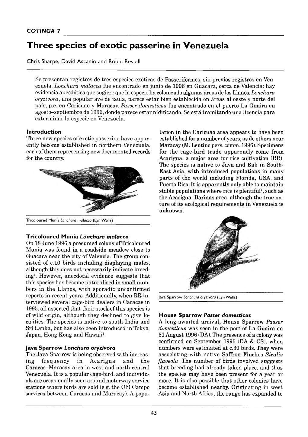 Three Species of Exotic Passerine in Venezuela