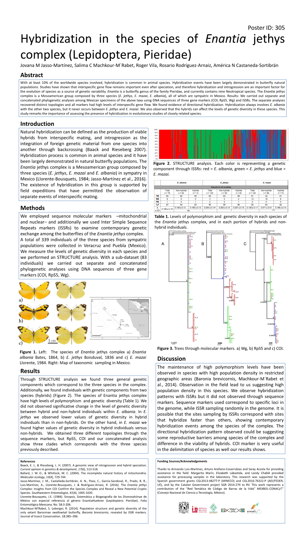 Hybridization in the Species of Enantia Jethys Complex (Lepidoptera, Pieridae)