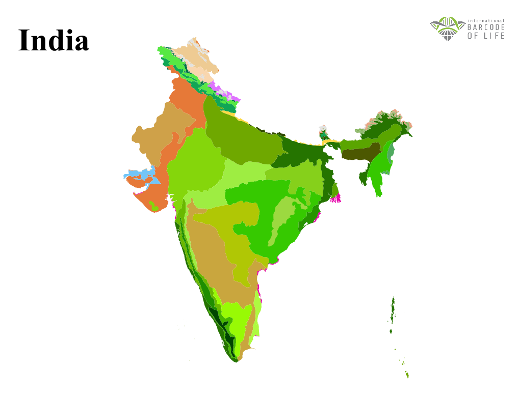 R Graphics Output