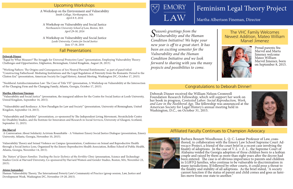 Feminism Legal Theory Project