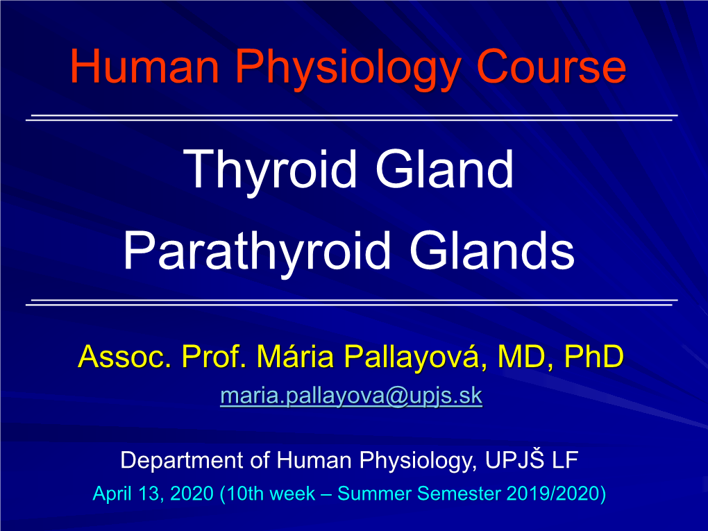 Thyroid Gland Parathyroid Glands