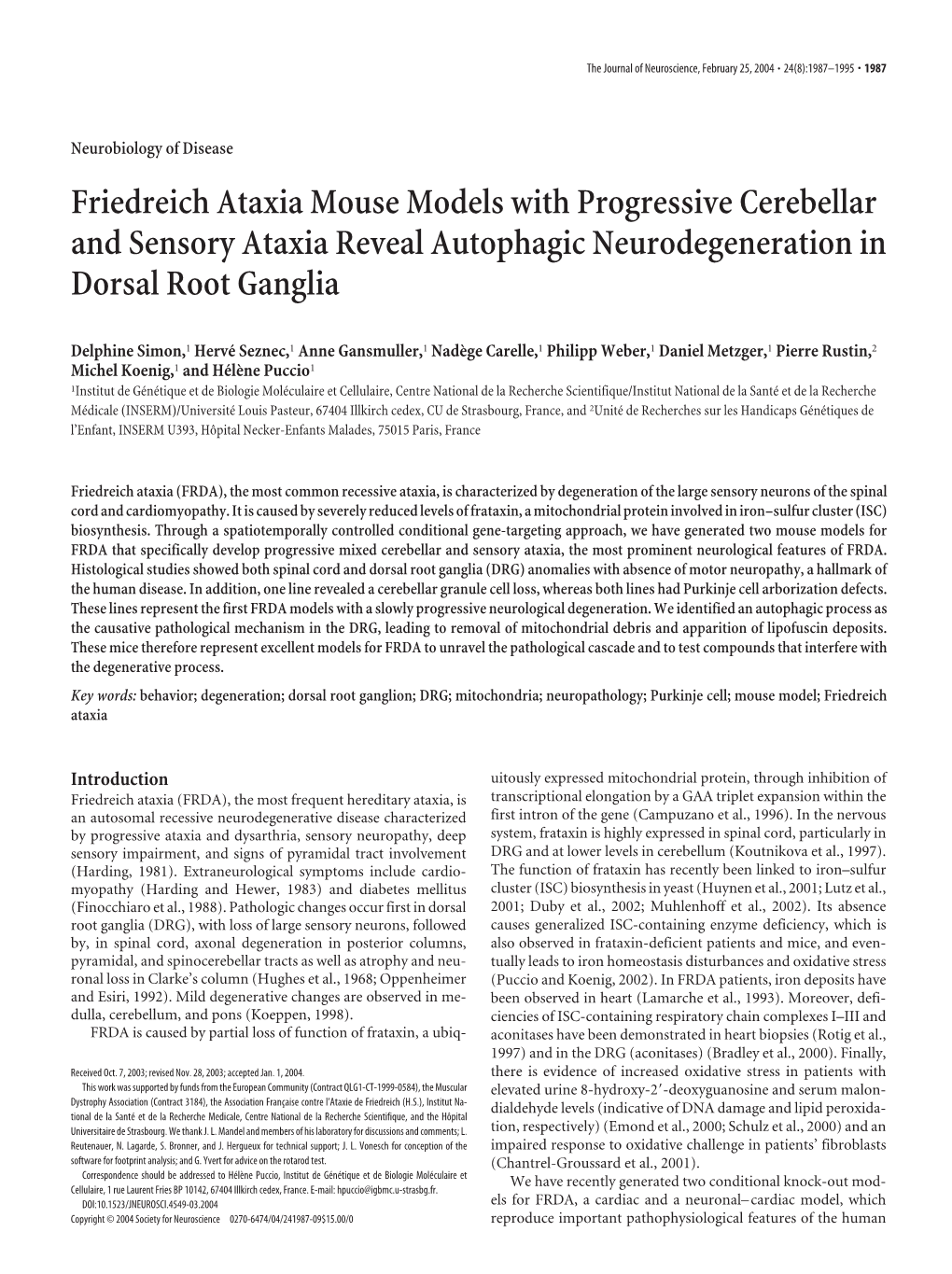 Friedreich Ataxia Mouse Models with Progressive Cerebellar and Sensory Ataxia Reveal Autophagic Neurodegeneration in Dorsal Root Ganglia