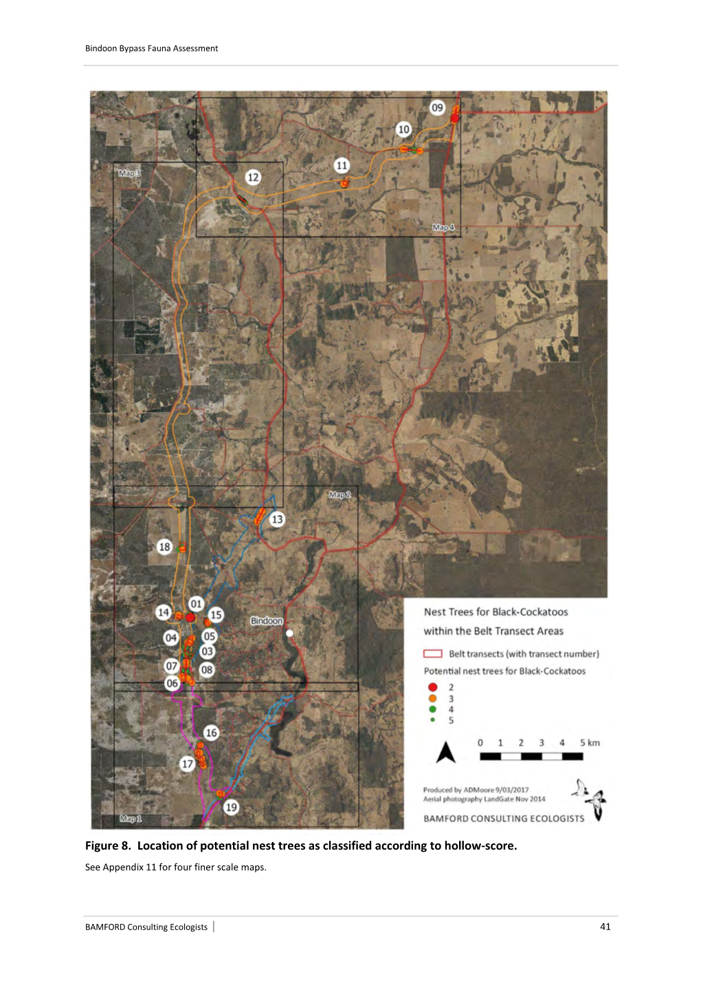 Figure 8. Location of Potential Nest Trees As Classified According to Hollow-Score