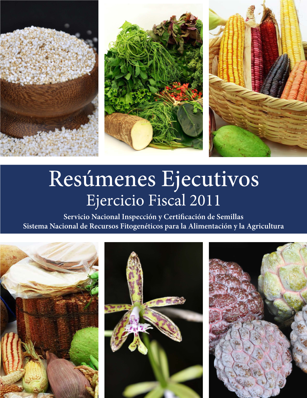 Resúmenes Ejecutivos Ejercicio Fiscal 2011