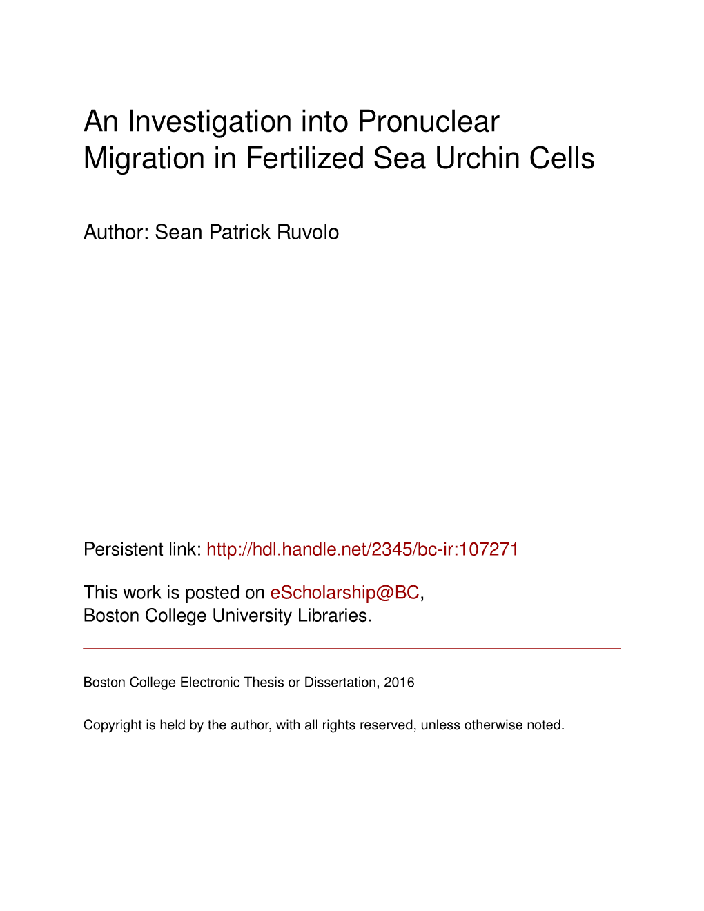 An Investigation Into Pronuclear Migration in Fertilized Sea Urchin Cells