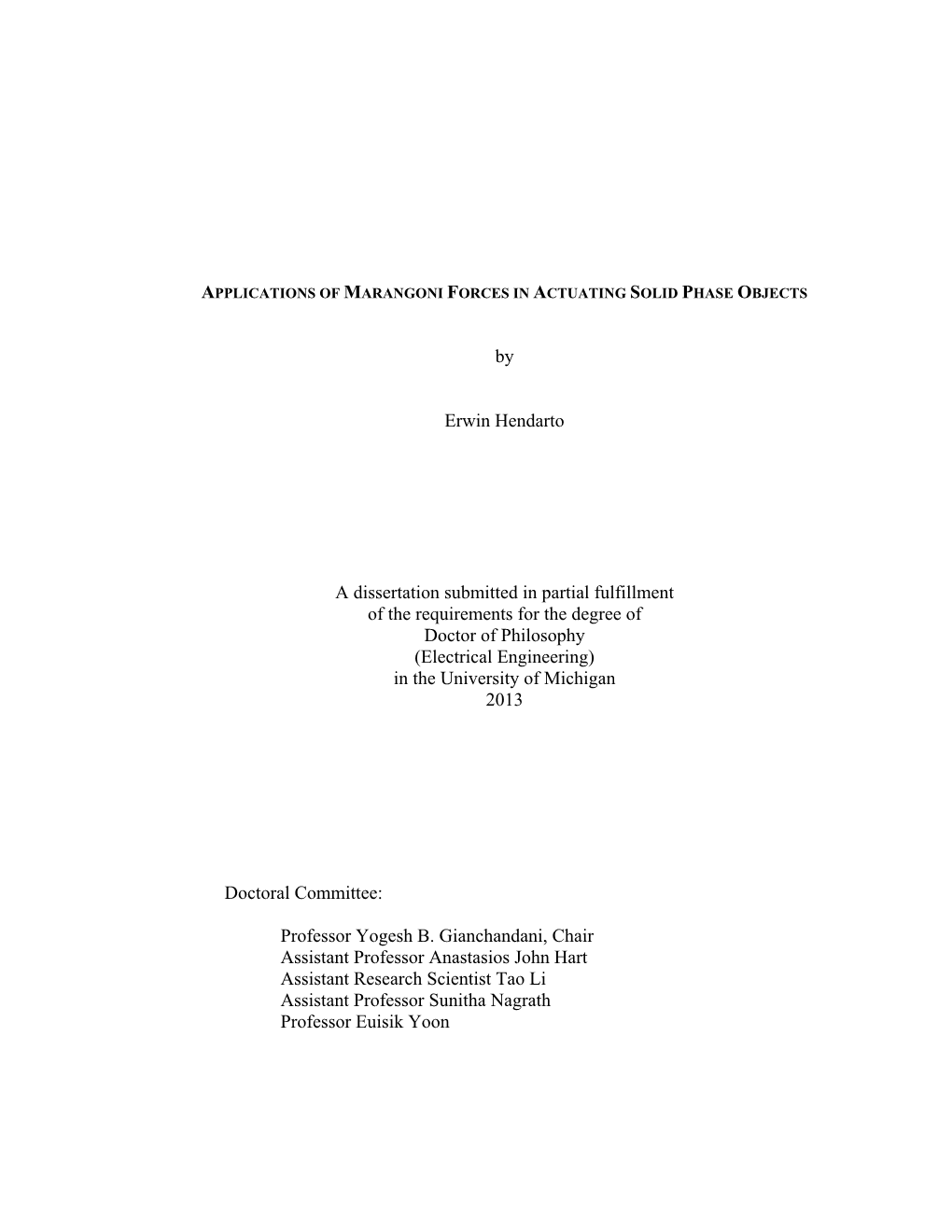 By Erwin Hendarto a Dissertation Submitted in Partial Fulfillment of The