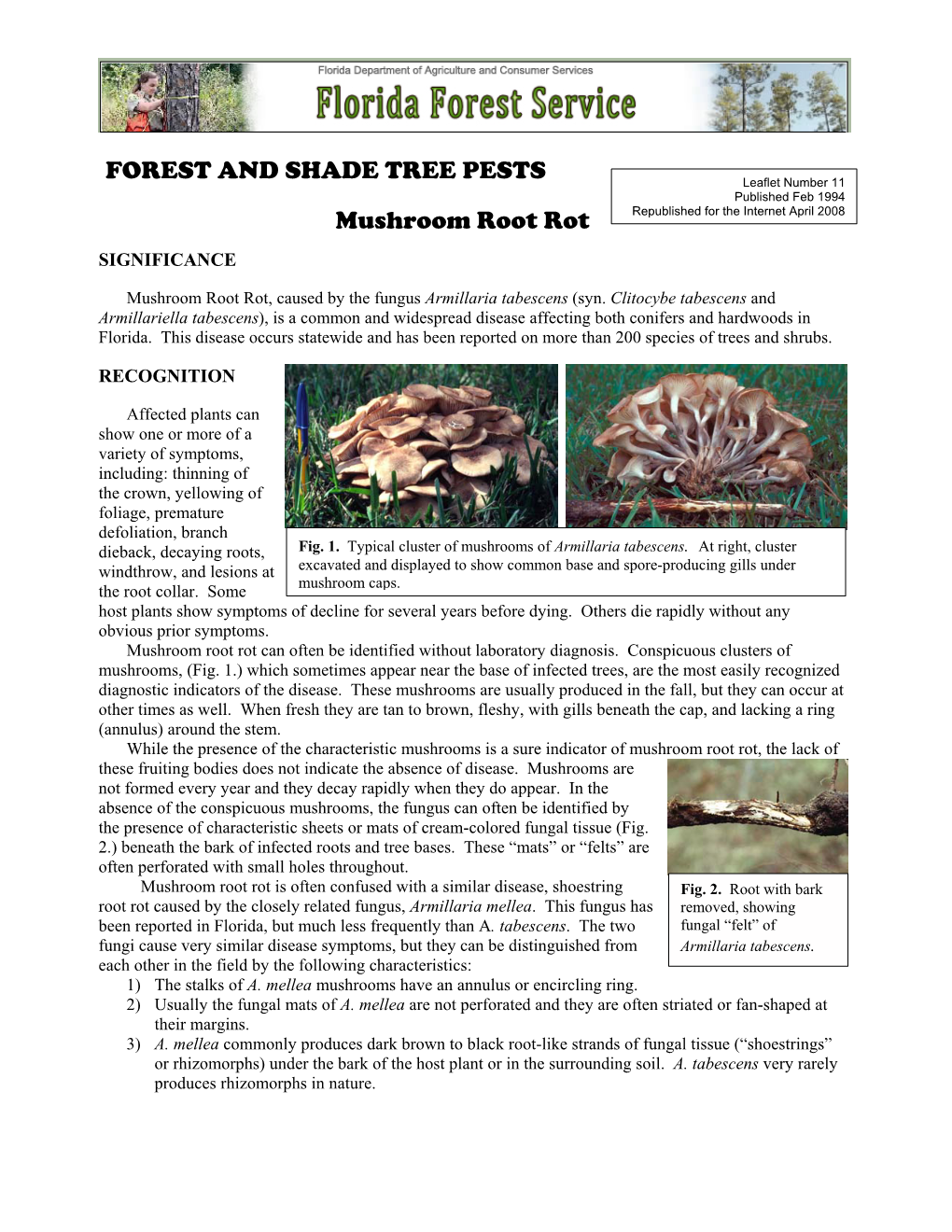 Mushroom Root Rot Republished for the Internet April 2008
