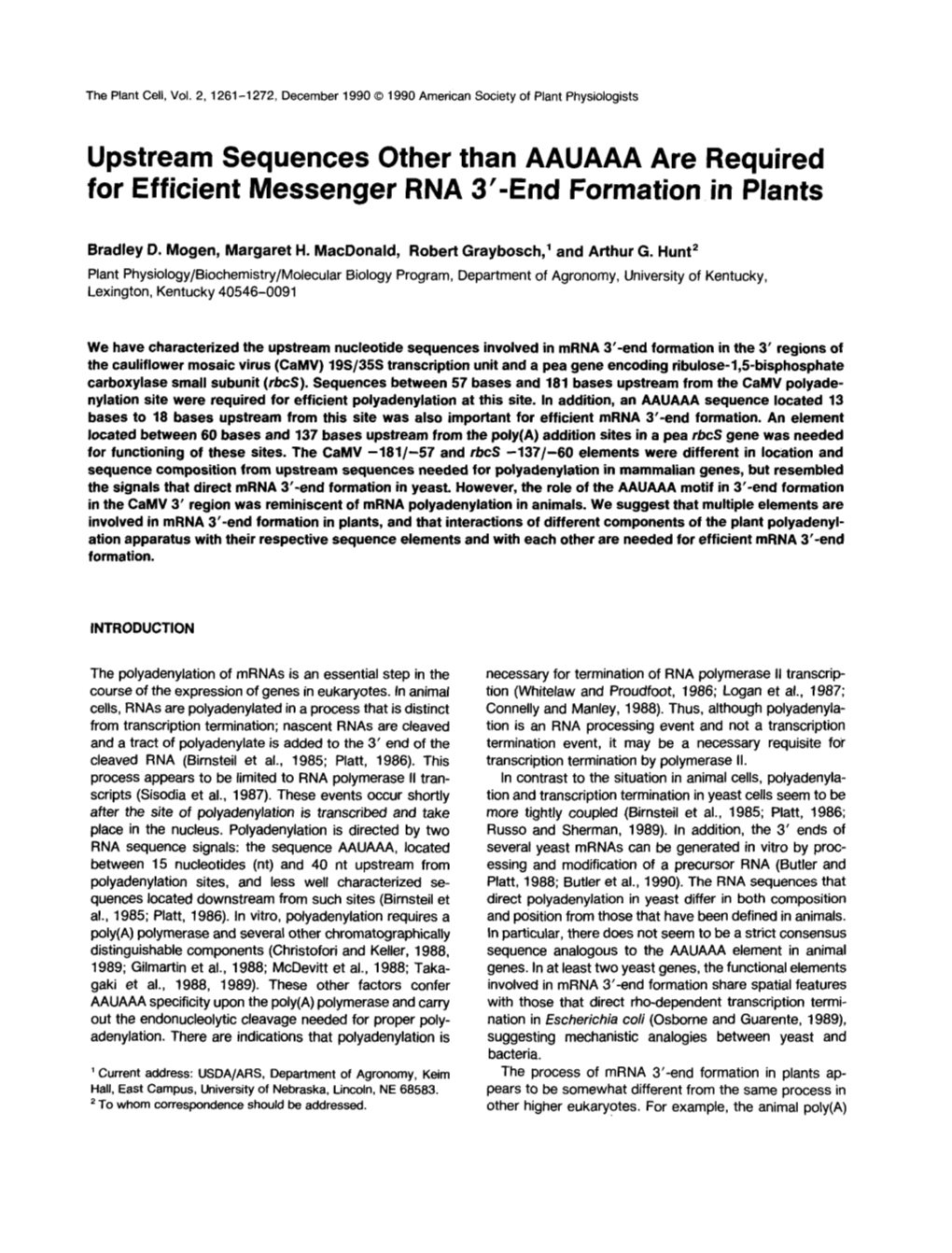 Upstream Sequences Other Than AAUAAA Are Required for Efficient Messenger RNA 3’-End Formation in Plants