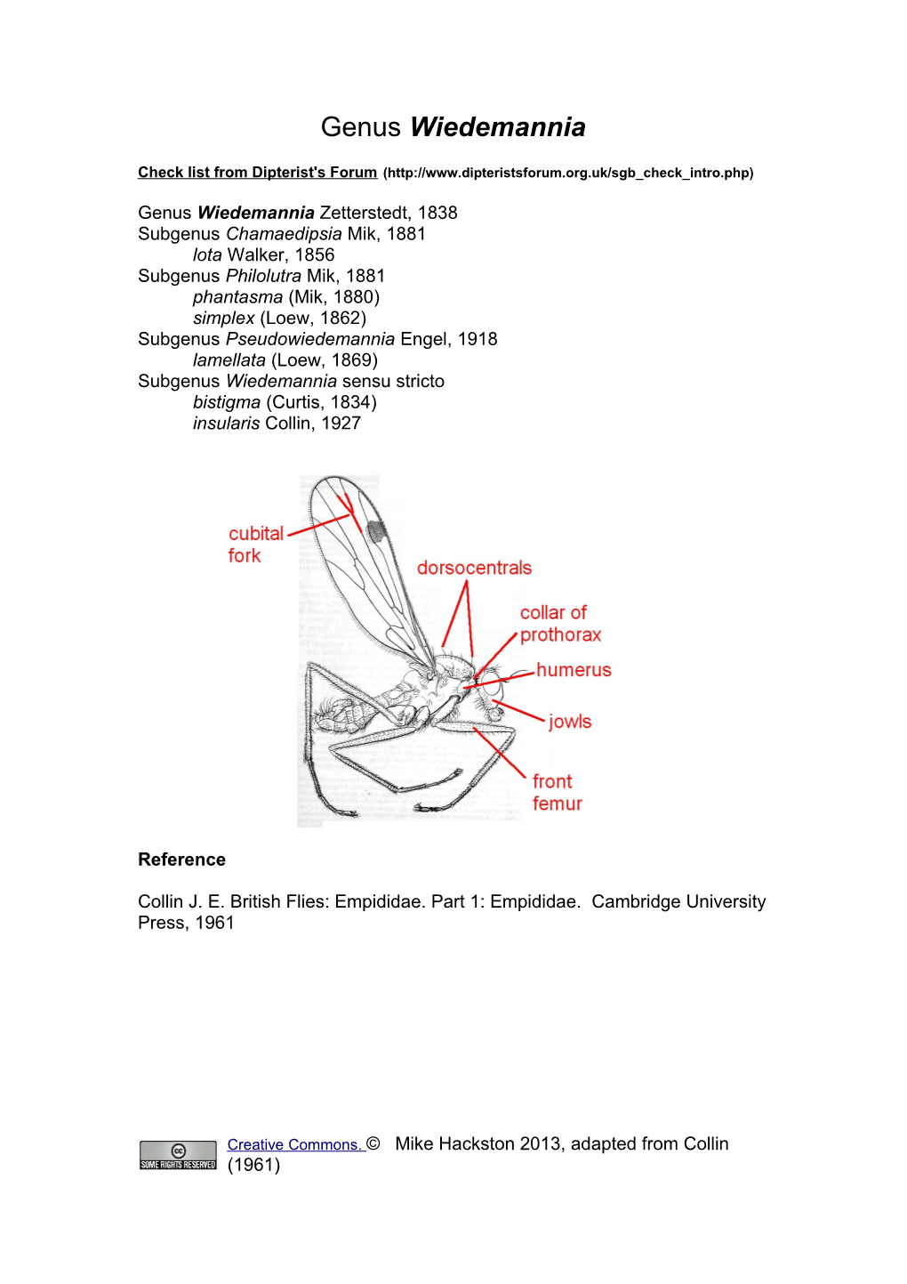 Ref-Key Empididae Wiedemannia Mike Hackston (2013).Pdf