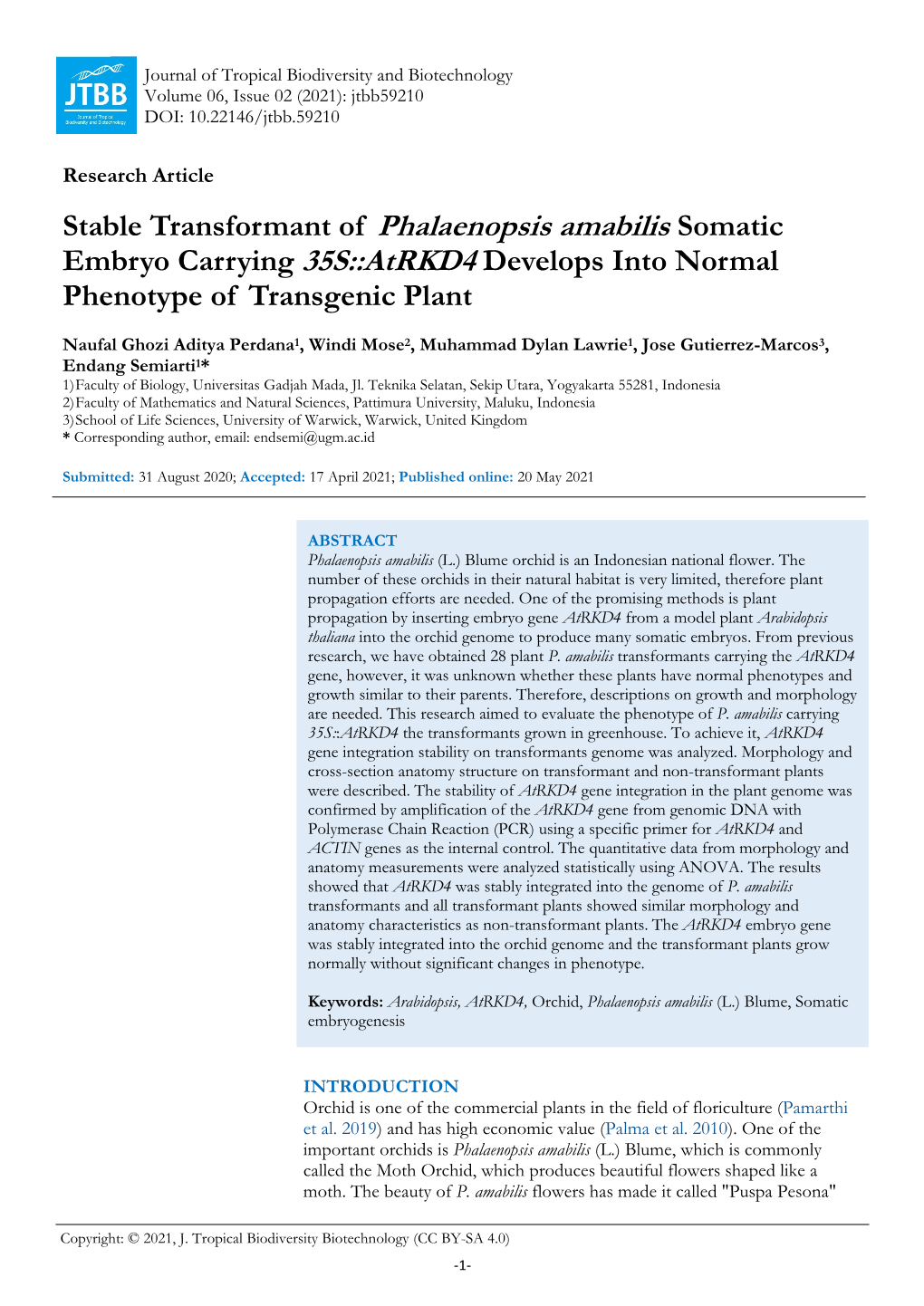 Stable Transformant of Phalaenopsis Amabilis Somatic Embryo Carrying 35S::Atrkd4 Develops Into Normal Phenotype of Transgenic Plant