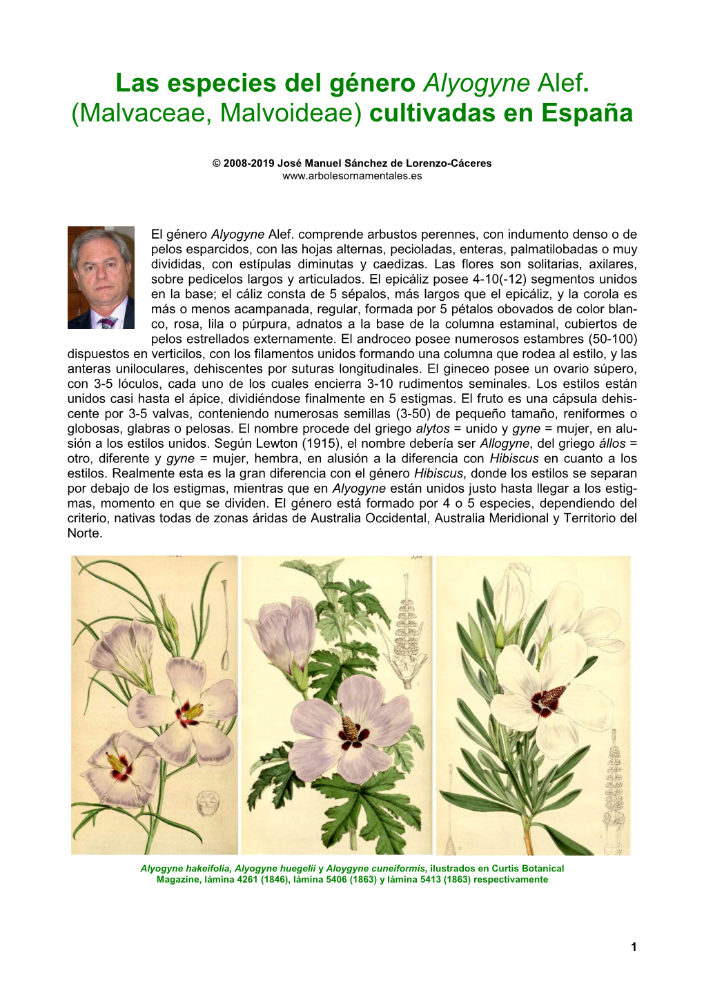 Las Especies Del Género Alyogyne Alef. (Malvaceae, Malvoideae) Cultivadas En España