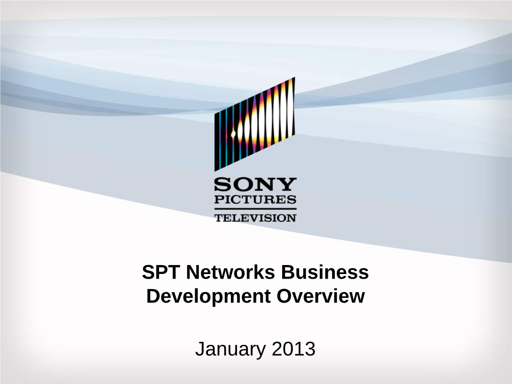 SPT Networks Business Development Overview January 2013