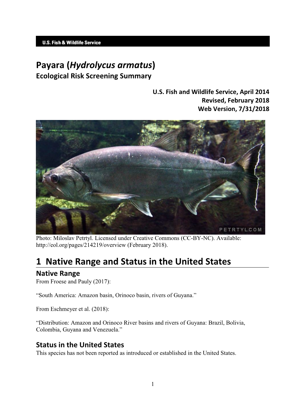 ERSS-Payara (Hydrolycus Armatus)