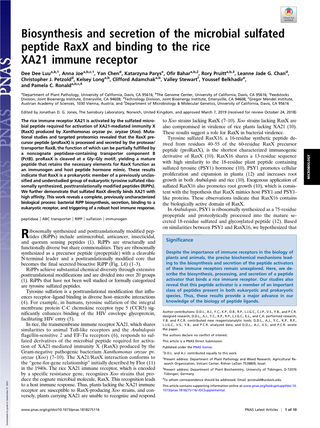 Biosynthesis and Secretion of the Microbial Sulfated Peptide Raxx and Binding to the Rice XA21 Immune Receptor