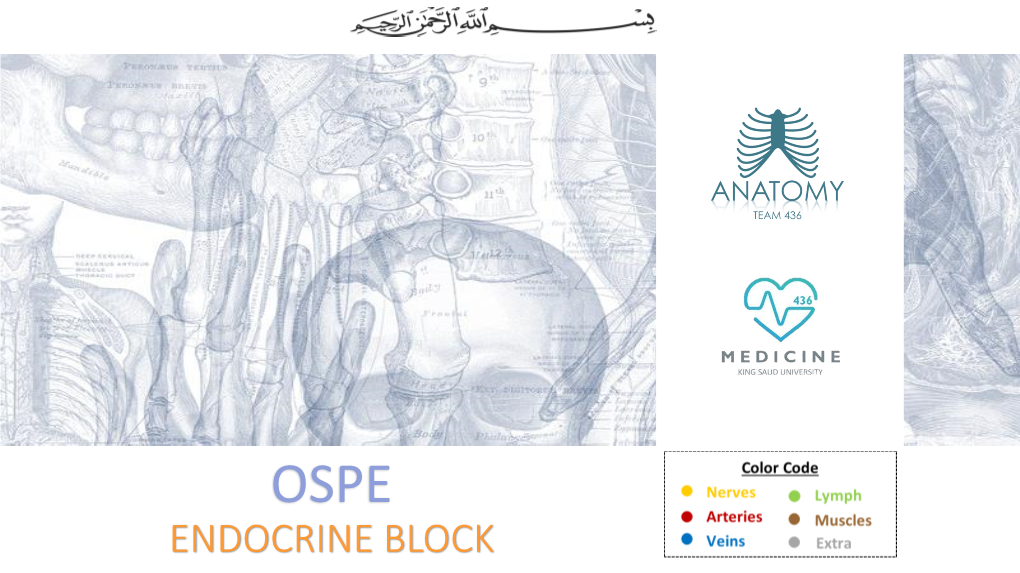 Endocrine Block اللهم ال سهل اال ما جعلته سهل و أنت جتعل احلزن اذا شئت سهل