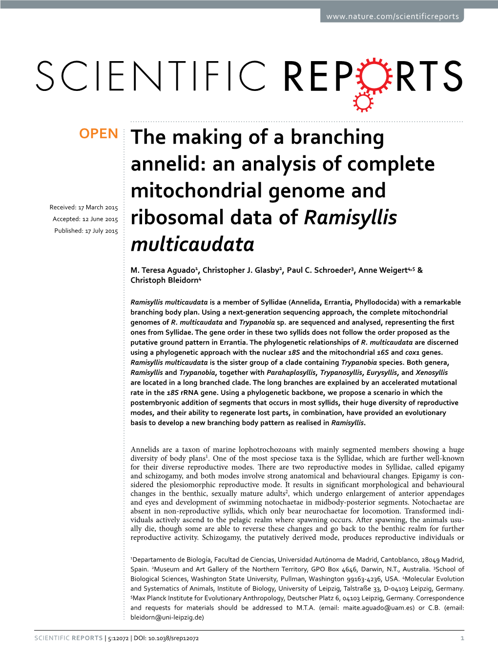An Analysis of Complete Mitochondrial Genome and Received: 17 March 2015 Accepted: 12 June 2015 Ribosomal Data of Ramisyllis Published: 17 July 2015 Multicaudata