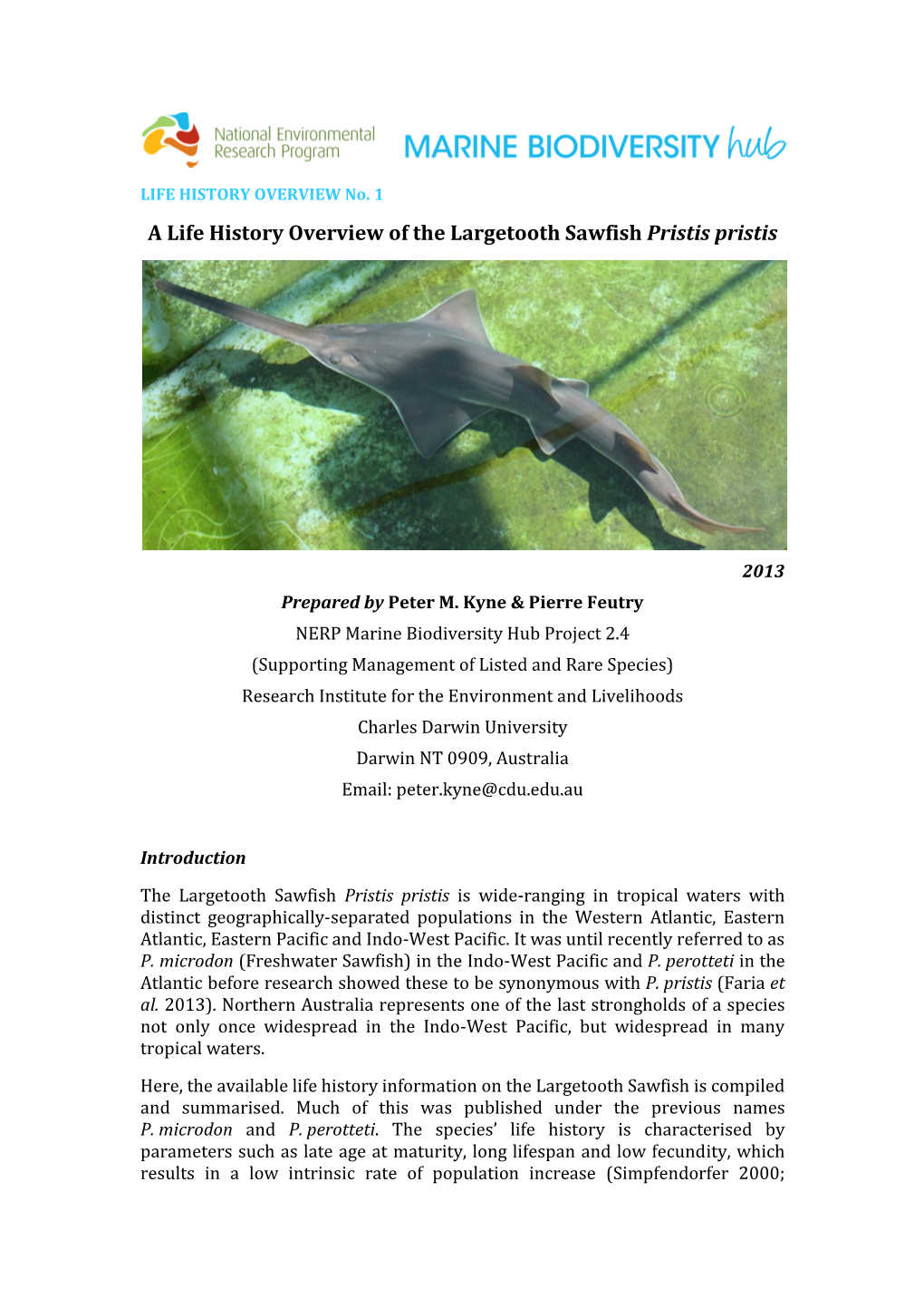 A Life History Overview of the Largetooth Sawfish Pristis Pristis