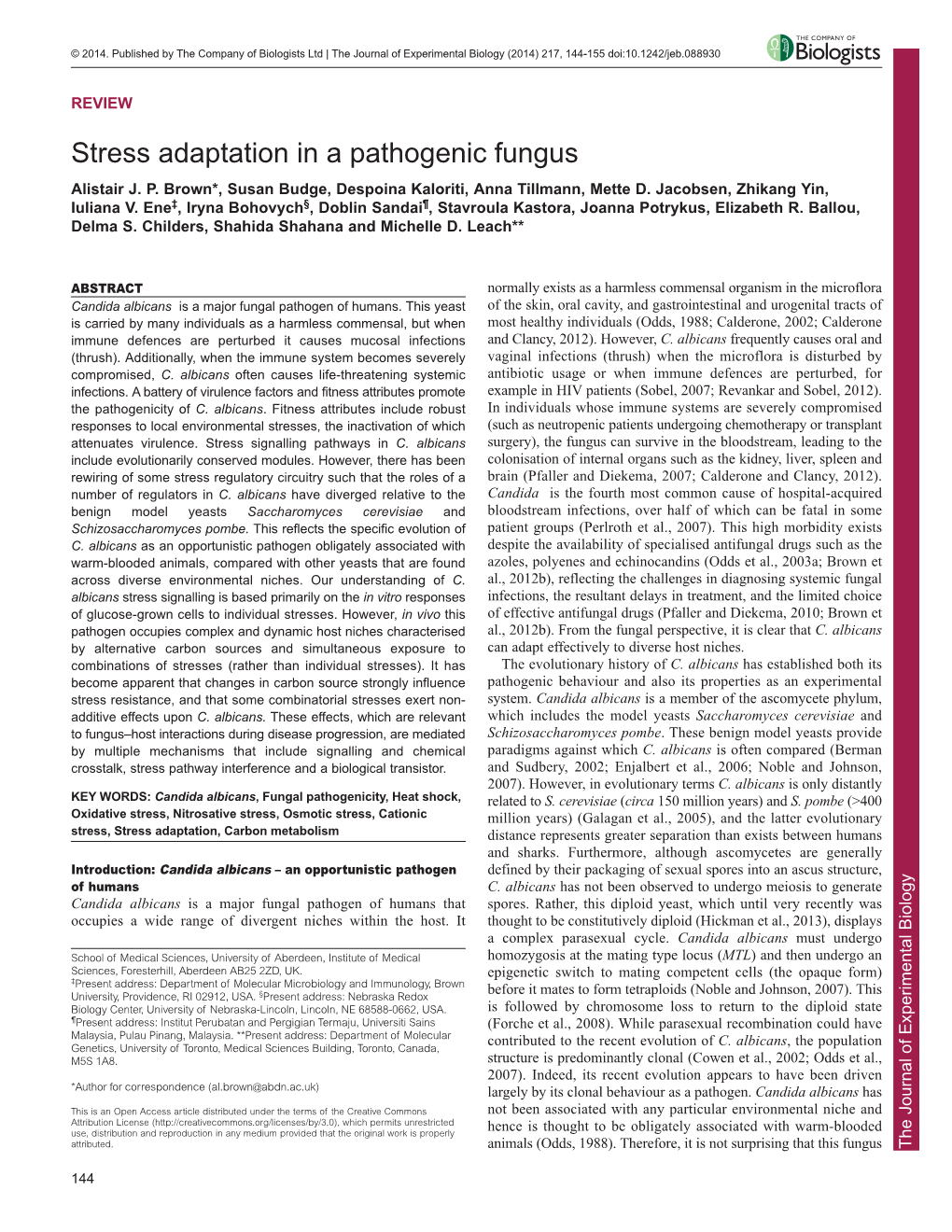 Stress Adaptation in a Pathogenic Fungus