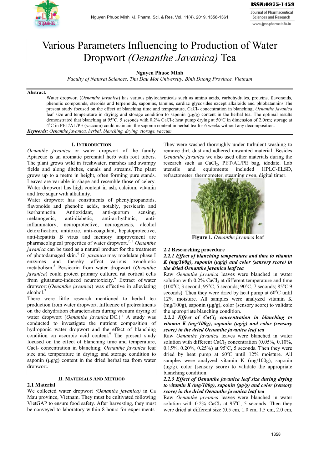 Various Parameters Influencing to Production of Water Dropwort (Oenanthe Javanica) Tea