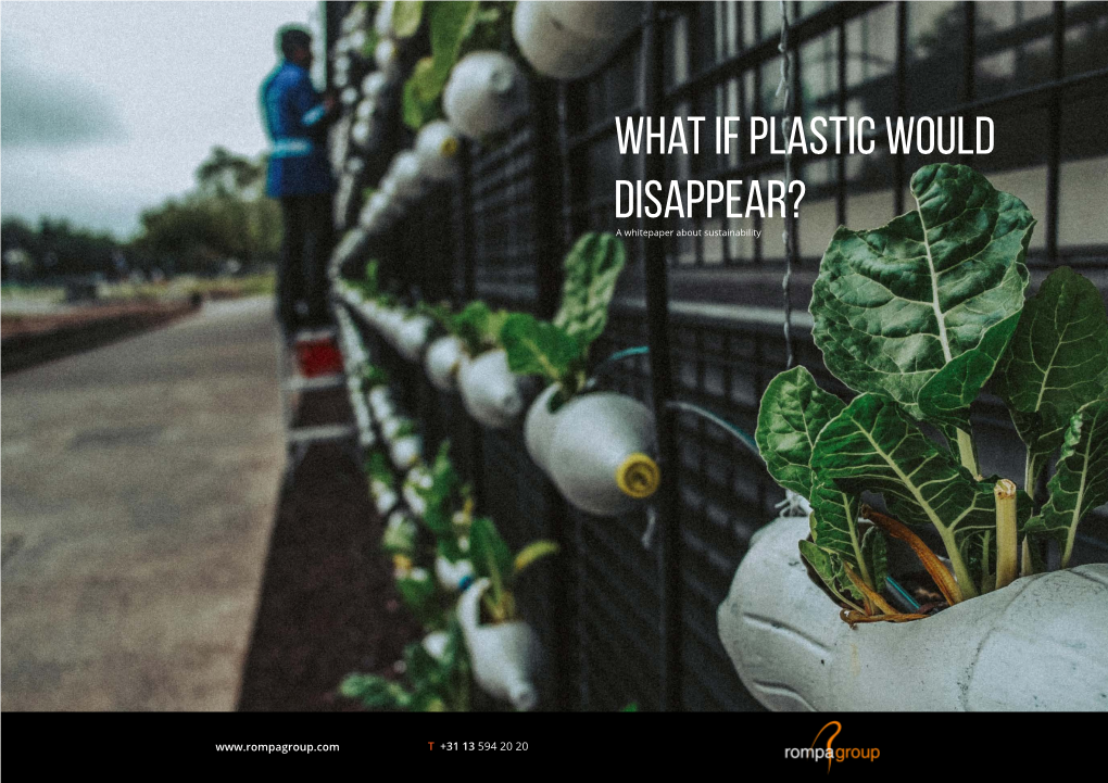 What If Plastic Would Disappear? a Whitepaper About Sustainability