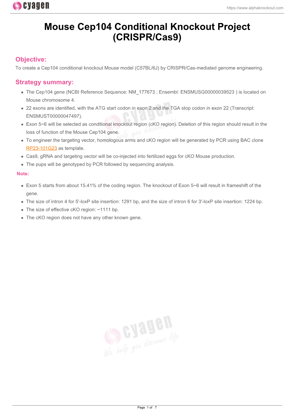 Mouse Cep104 Conditional Knockout Project (CRISPR/Cas9)