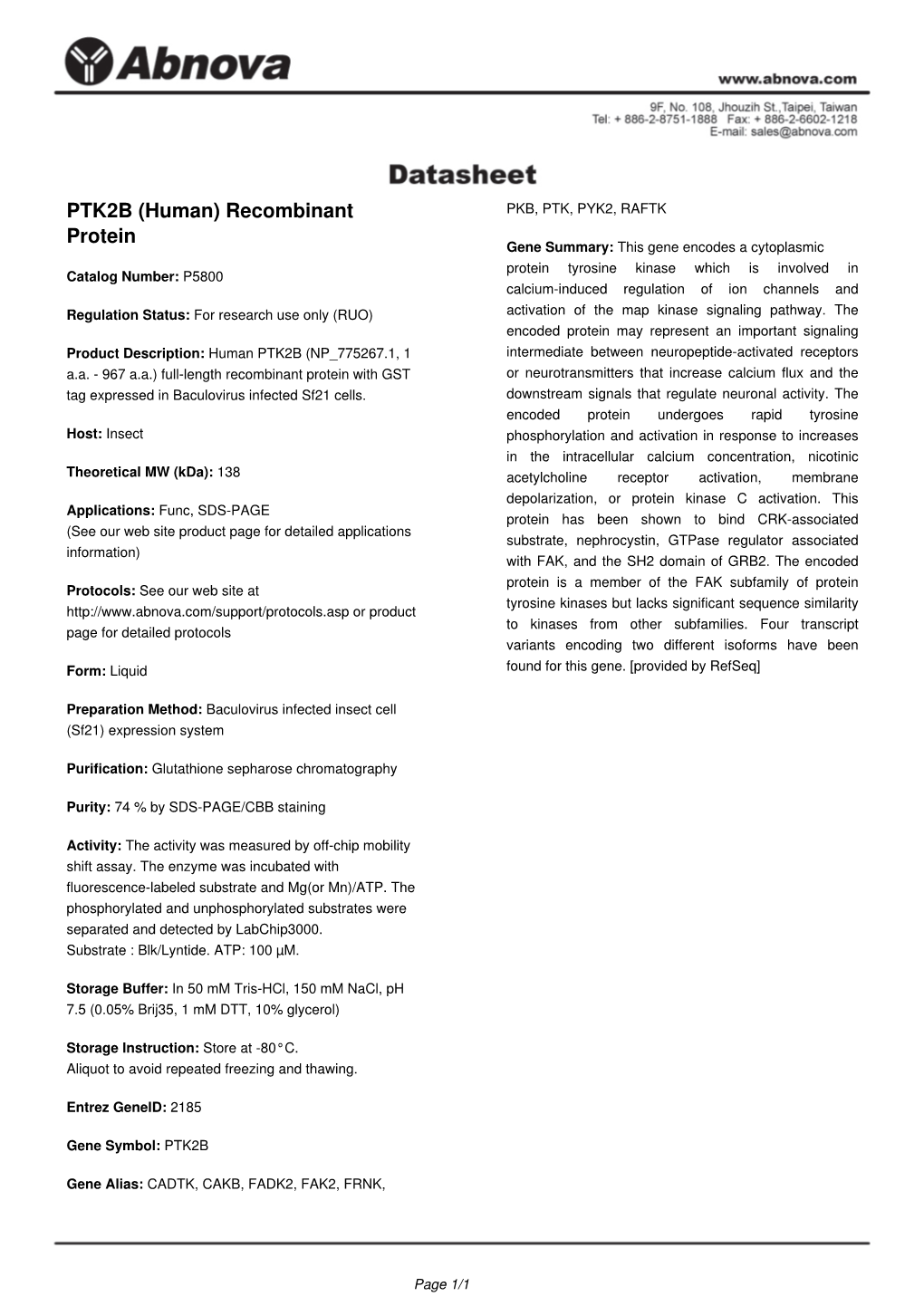 PTK2B (Human) Recombinant Protein