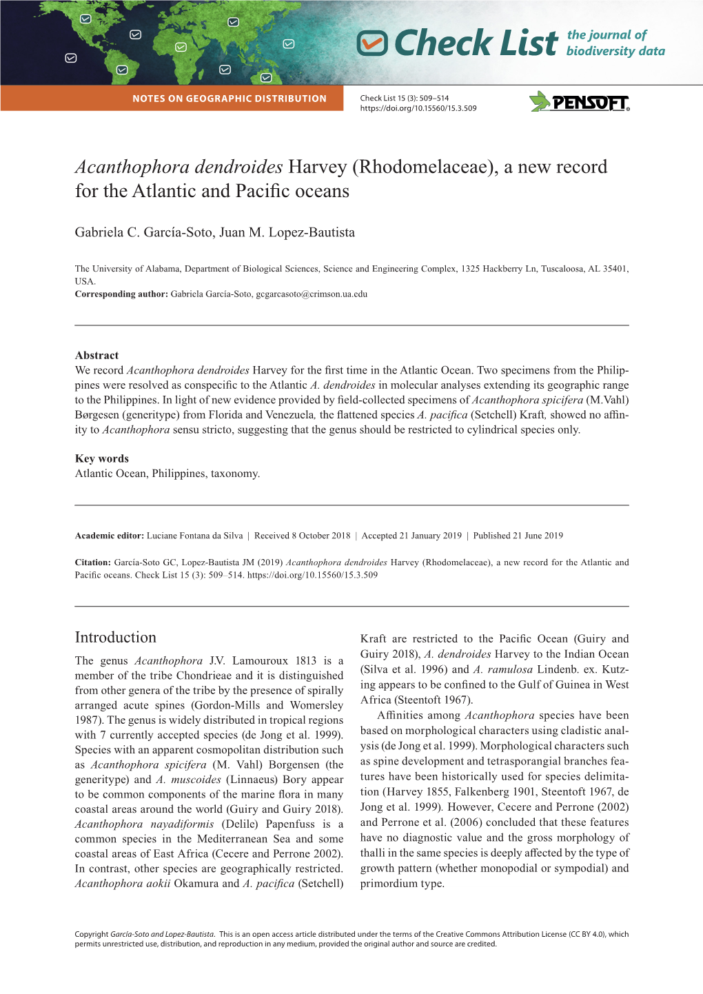 Acanthophora Dendroides Harvey (Rhodomelaceae), a New Record for the Atlantic and Pacific Oceans