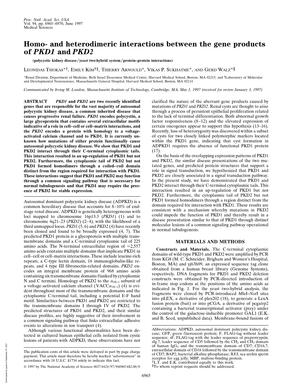 And Heterodimeric Interactions Between the Gene Products of PKD1 and PKD2 (Polycystic Kidney Disease͞yeast Two-Hybrid System͞protein–Protein Interactions)