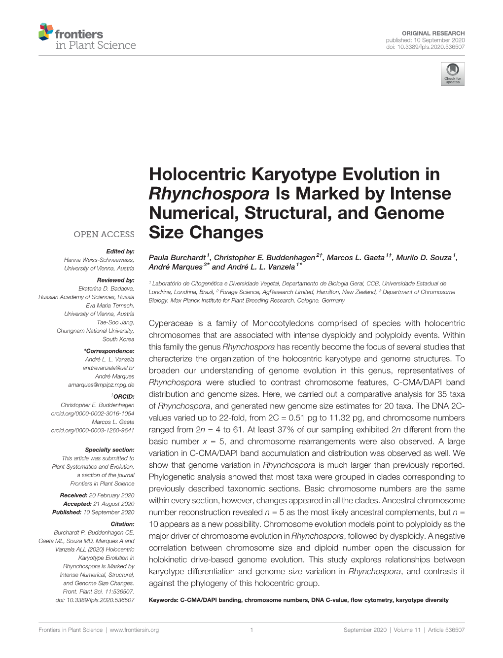 Holocentric Karyotype Evolution in Rhynchospora Is Marked by Intense